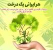 "هر ایرانی یک درخت" درختکاری با مشارکت شهروندان شهر امیرکلا