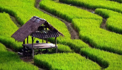 اماکن دیدنی شهرامیرکلاجهت بازدید مسافران وگردشگران نوروزی